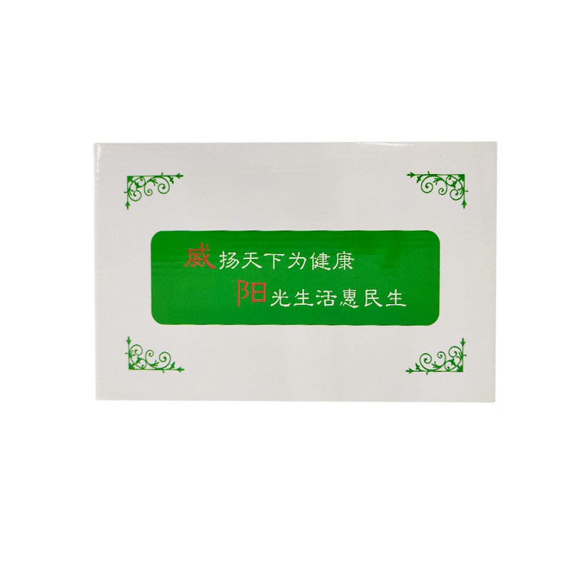 手持式吸痰器 WY-I (141640)